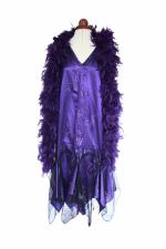 Ladies Deluxe Flapper Charleston 1920s 1930s Costume Size 14 - 16